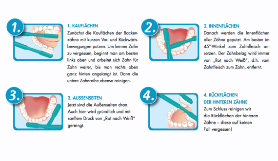 Richtig Zähneputzen leicht gemacht